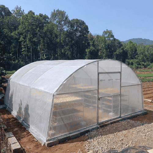 Polysheet Solar Dryer Installation – Verdant Farms India