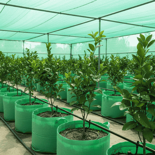 Grow Bags Installation – All Sizes – Verdant Farms India