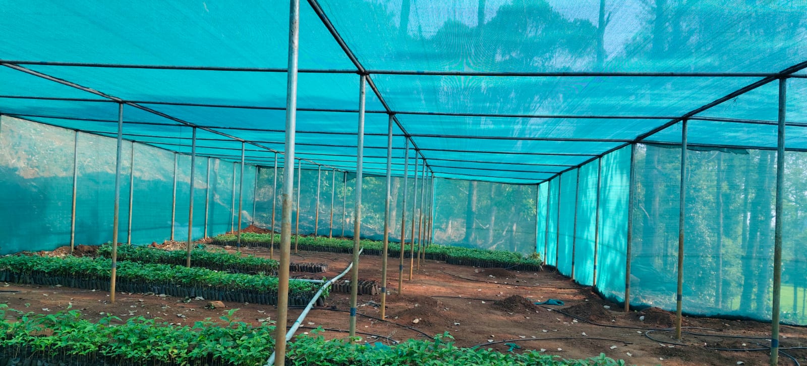 Verdant Farms Installation