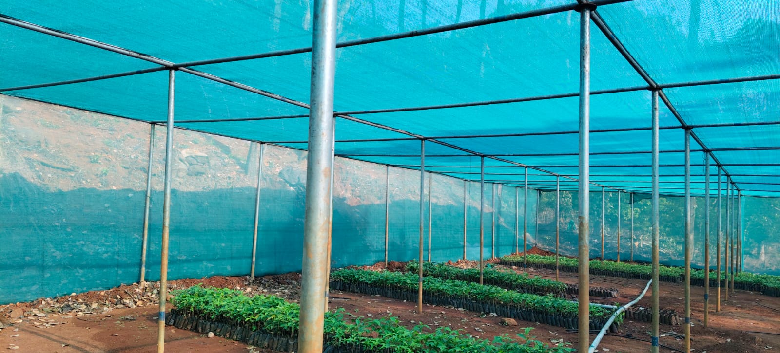 Verdant Farms Installation