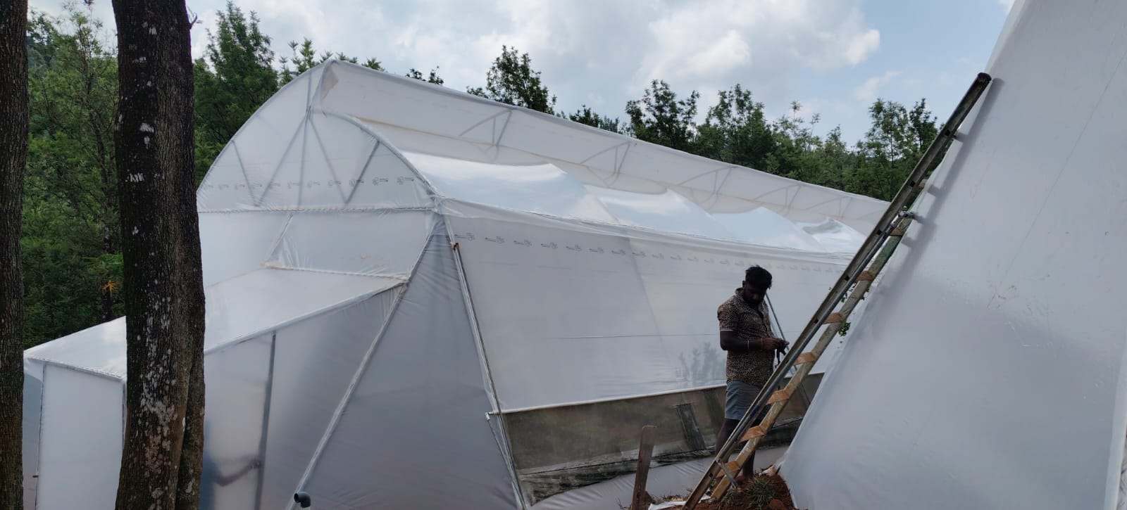 Verdant Farms Installation