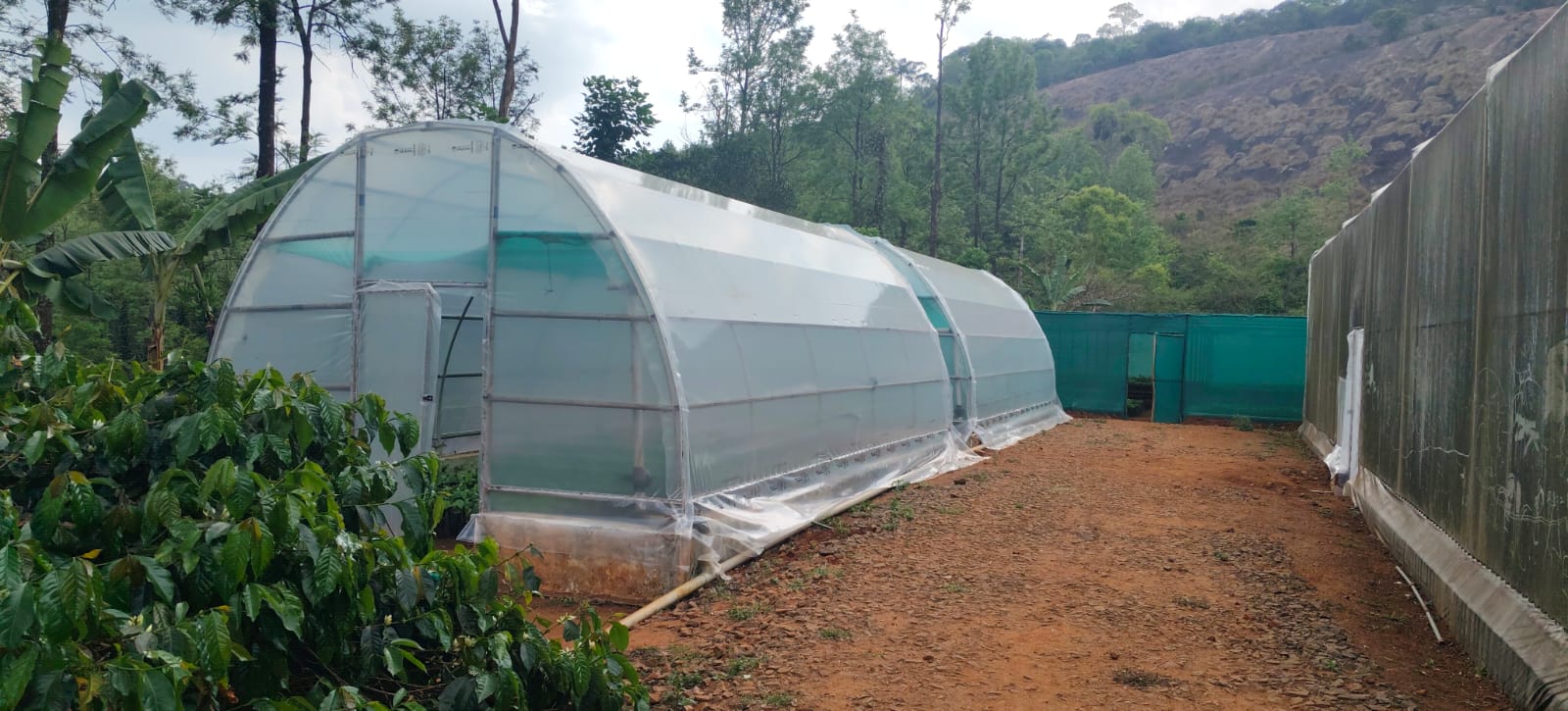 Verdant Farms Installation