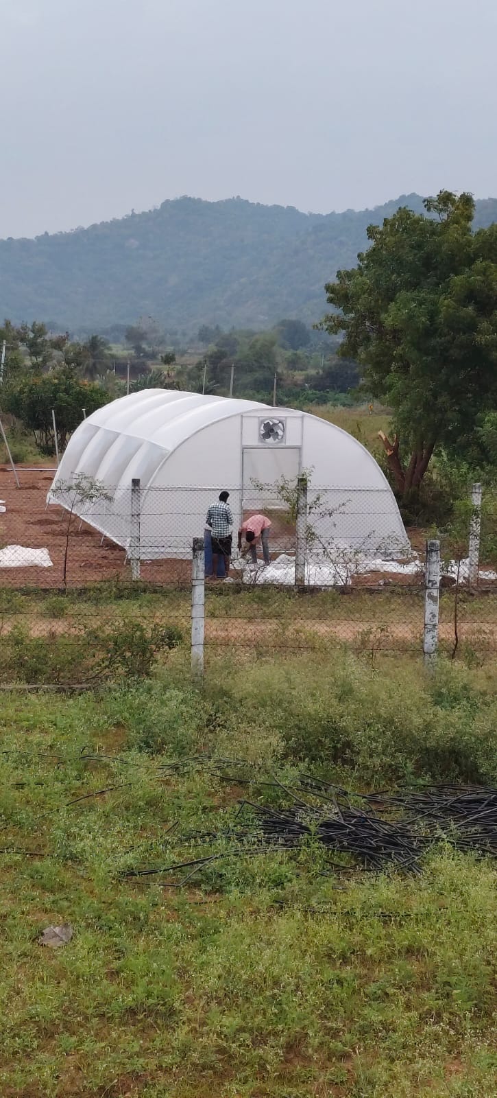 Verdant Farms Installation