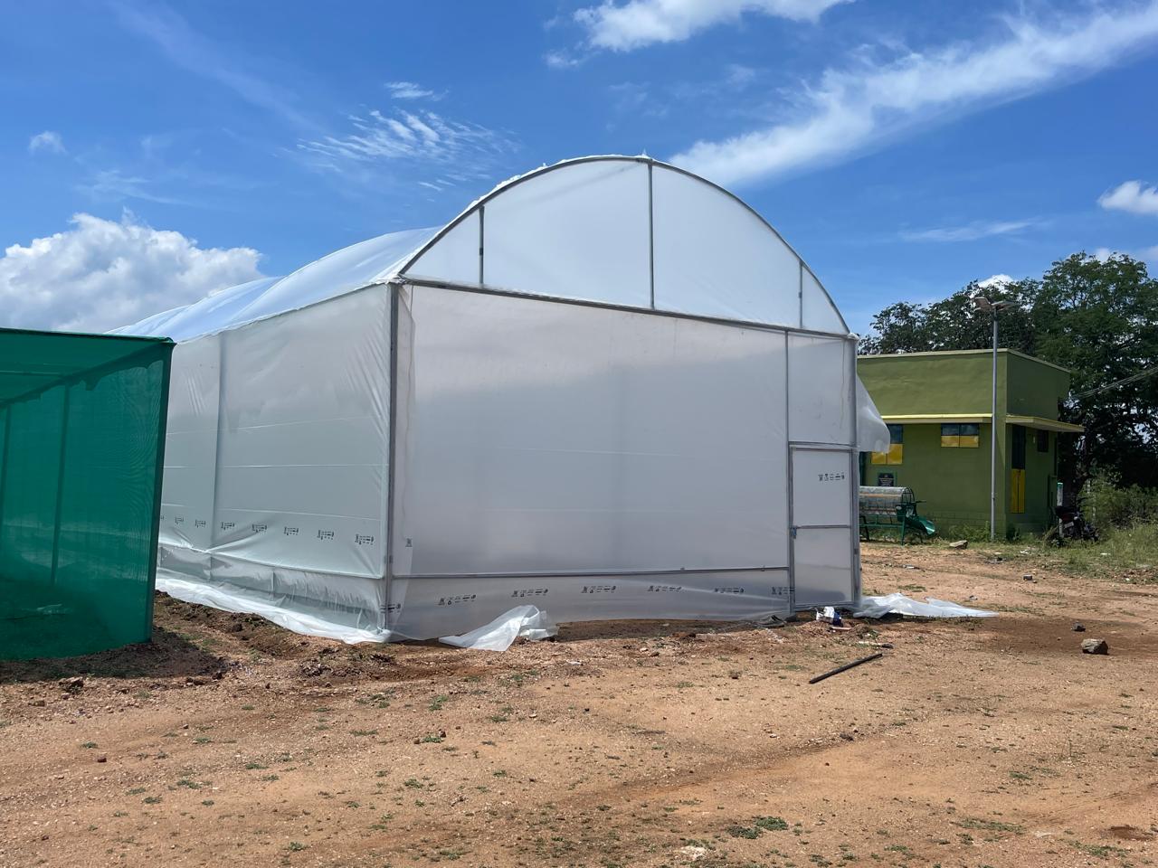 Flat Roof Shaped Polyhouse Installation – Verdant Farms India